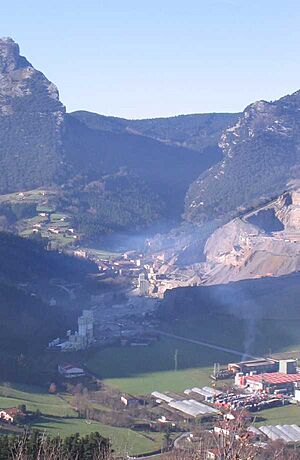 Archivo:Manaria