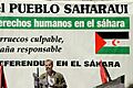 Manifestation in Madrid for the independence of the Western Sahara (63)