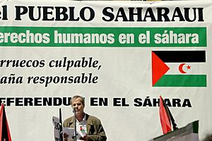 Archivo:Manifestation in Madrid for the independence of the Western Sahara (63)