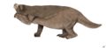 Megatherium americanum by sphenaphinae