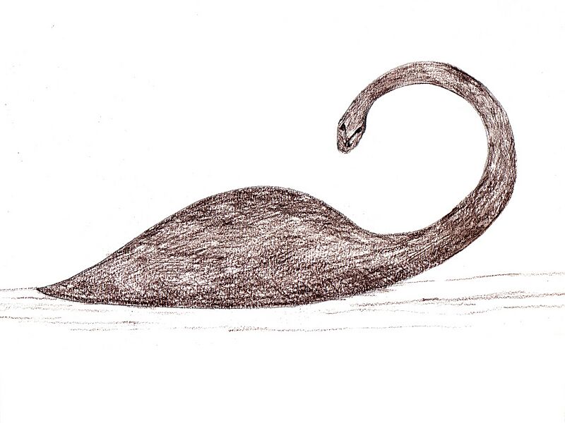 Nahuelito (artistic rendition)