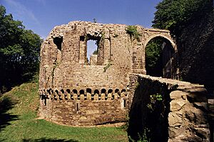 Archivo:Olbrueck01