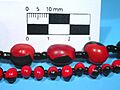 Ormosia coccinea + Abrus precatorius, threaded seeds with beads 2