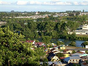 Archivo:Osorno y Rio Rahue