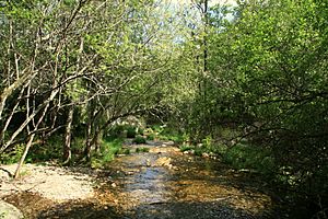 Archivo:Río Batuecas (14 de abril de 2017, Parque Natural de las Batuecas y Sierra de Francia) 03