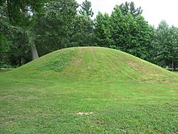 Ranger Station Mound, southern side.jpg