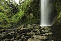 Saltos de Tocoihue, Chiloé