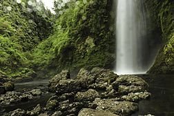 Saltos de Tocoihue, Chiloé.jpg