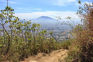 Archivo:Sierra de San Juan Trail