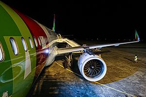 Archivo:TAP Air Portugal Airbus A321neo at TAP Air Portugal Airbus A321neo at São Tomé Airport (51334816411)