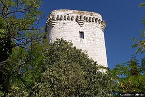 Archivo:Torre de Éboli, Pinto. Madrid (Spain)