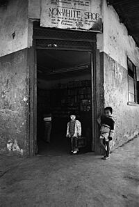 Archivo:Travelling Light 11 F