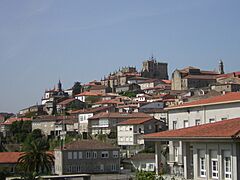 Tui vista xeral