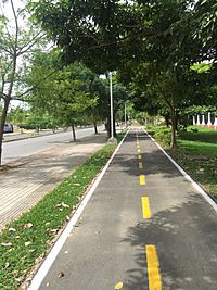 Archivo:Vista de ciclo-ruta en la Avenida Juan Isidro Daboín