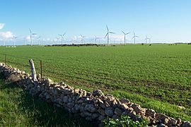 Archivo:Wattle Point wind farm