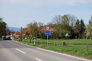 Archivo:2012-04-26 Sense-Sarino (Foto Dietrich Michael Weidmann) 407