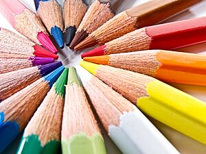 Archivo:64 365 Color Macro (5498808099)