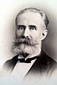 Albert de Quintana i Combis