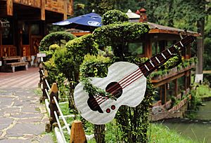 Archivo:Arbusto decorado con una guitarra.