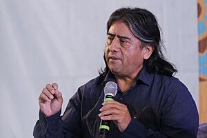 Archivo:Aucán Huilcamán