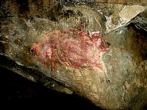 Archivo:Bisonte en la cueva del Reguerillo, septiembre de 2006