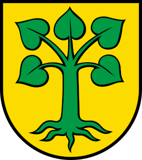 CHE Beinwil (Freiamt) COA