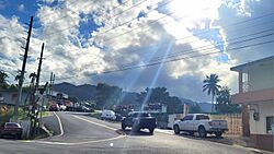Carretera PR-816, Bayamón, Puerto Rico.jpg
