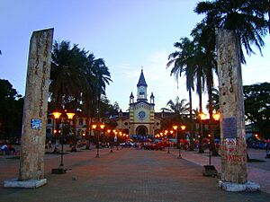 Archivo:CatedralNtraSraLourdesAtardecer