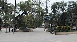 Chile, La Ligua, Plaza de La Ligua (35059234930).jpg