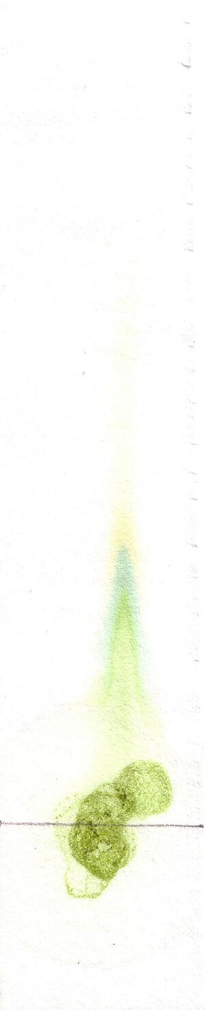 Archivo:Chromatography