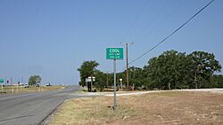 Cool in Texas.jpg