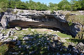 Cueva de Lezaundi.jpg