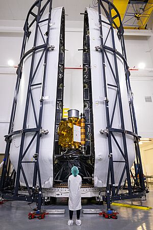Archivo:DART inside the payload fairing (KSC-20211116-PH-EGW01 0001)