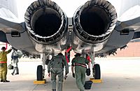 Archivo:F-15 Eagle Nozzles