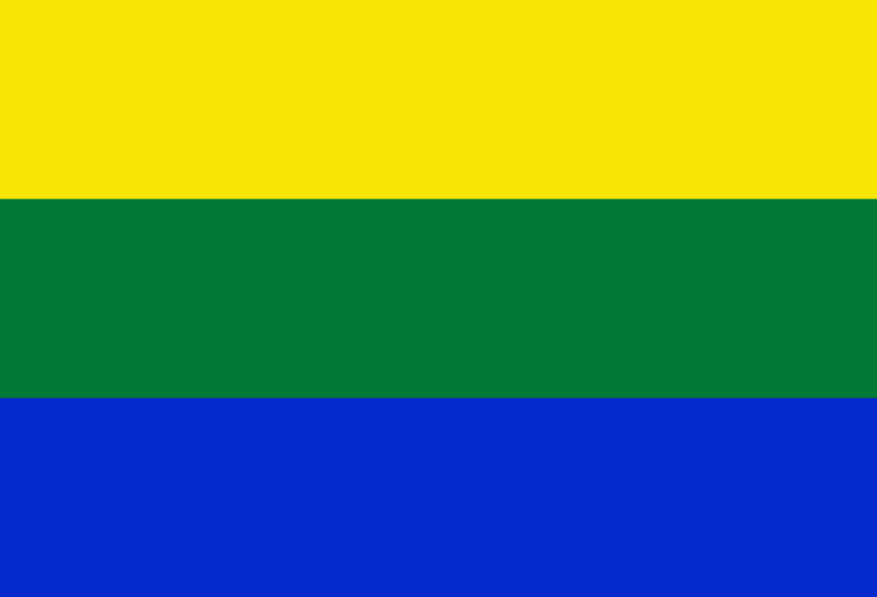 Flag of Arani, Bolivia