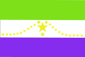 Flag of Usulatán Department