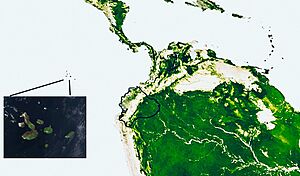 Archivo:Geography of Ecuador within South America