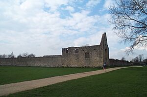 Archivo:Godstow Nunnery ruin 20050326
