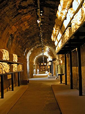 Archivo:Jordan-16A-113