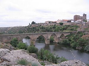 Archivo:Ledesma, puente romano