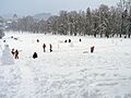 Ljubljana. Tivoli under the snow