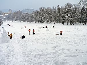 Archivo:Ljubljana. Tivoli under the snow