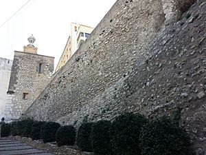 Archivo:Muralla2