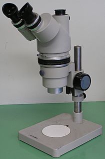 Archivo:Optical stereo microscope nikon smz10