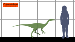 Archivo:Pelecanimimus SIZE