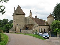 Petit-Castel Pierre-Perthuis.JPG