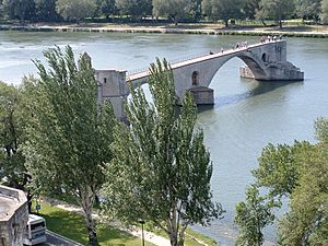 Archivo:Pont d'Avignon from above