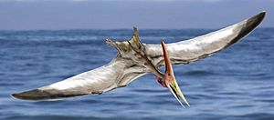 Archivo:Pteranodon NT