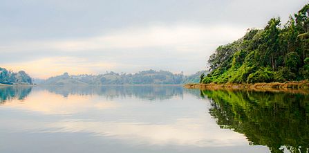 Archivo:Puerto Dominguez Temuco, vista del lago