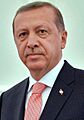 Recep Tayyip Erdoğan June 2015